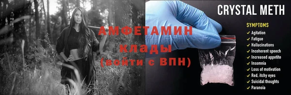 прущие грибы Каменск-Шахтинский