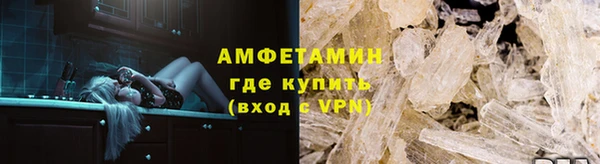 прущие грибы Каменск-Шахтинский