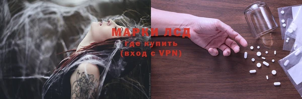 прущие грибы Каменск-Шахтинский