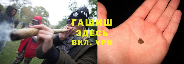 стаф Каменка