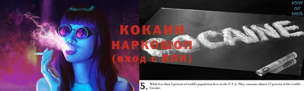 прущие грибы Каменск-Шахтинский