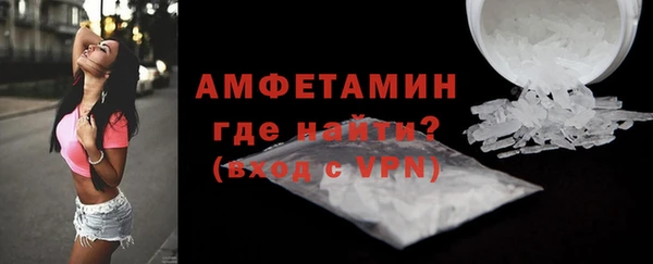 стаф Каменка