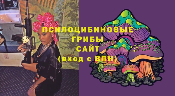 прущие грибы Каменск-Шахтинский