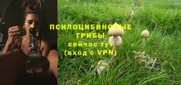 МДМА Каменногорск