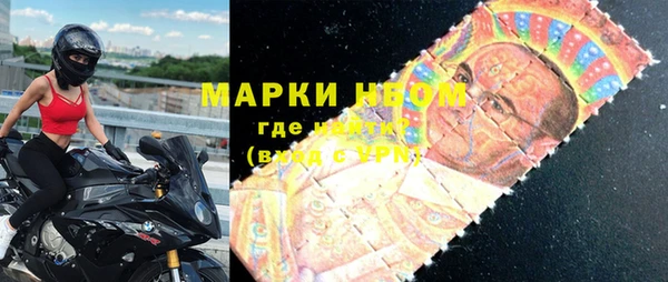 прущие грибы Каменск-Шахтинский