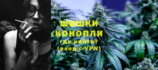 прущие грибы Каменск-Шахтинский