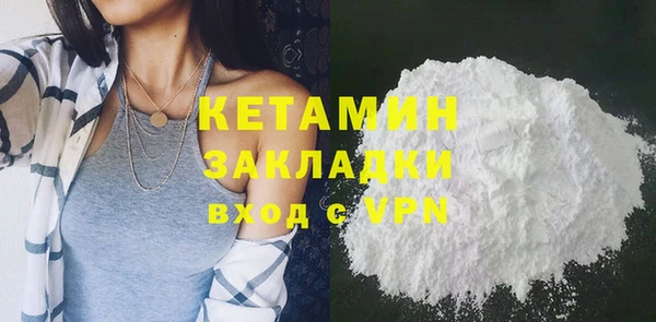 стаф Каменка