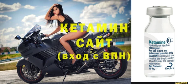 стаф Каменка