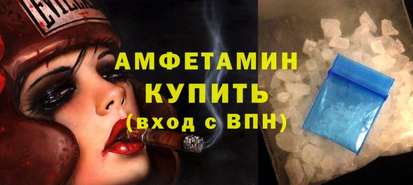 стаф Каменка