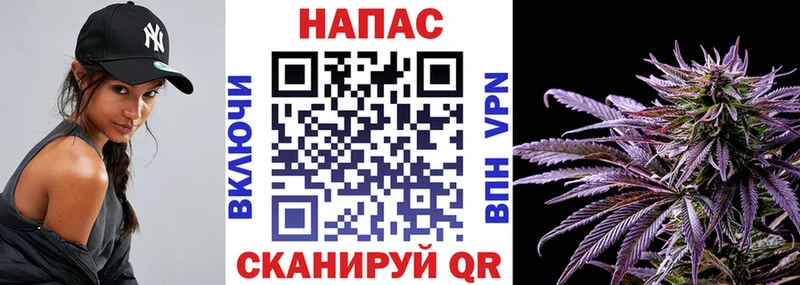 Каннабис Bruce Banner  Купить  Зуевка 